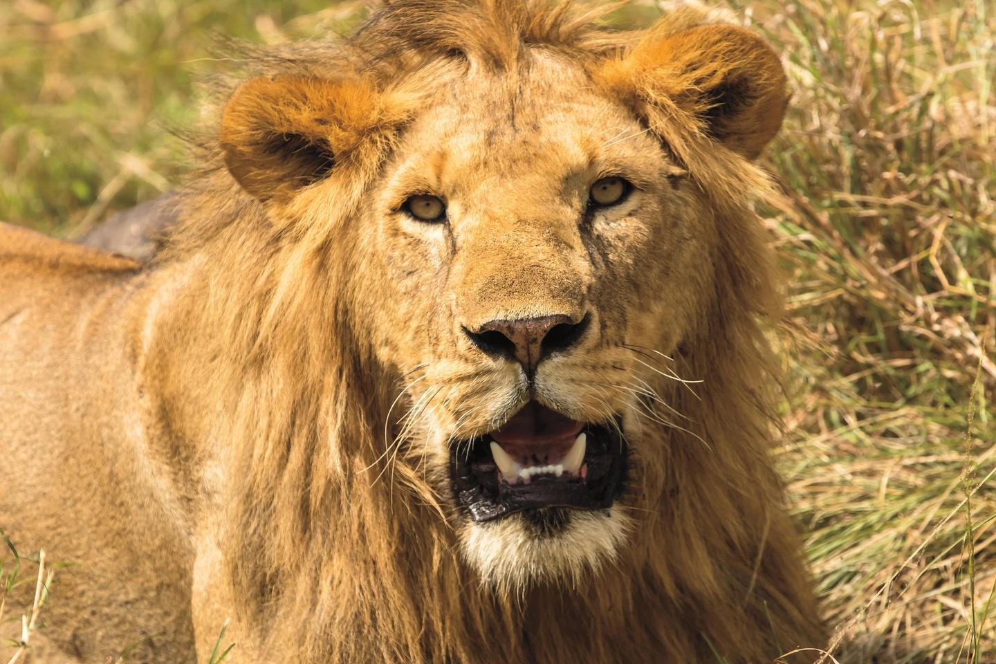 296ef59199df7270089a161608200e0a97bee27c-3000x2000