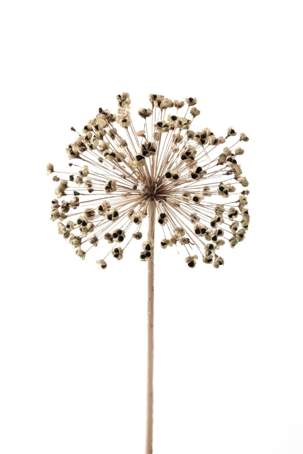 3d4eb1f813bfd98b6206b3be9a25fe8e193f0dea-2000x3000