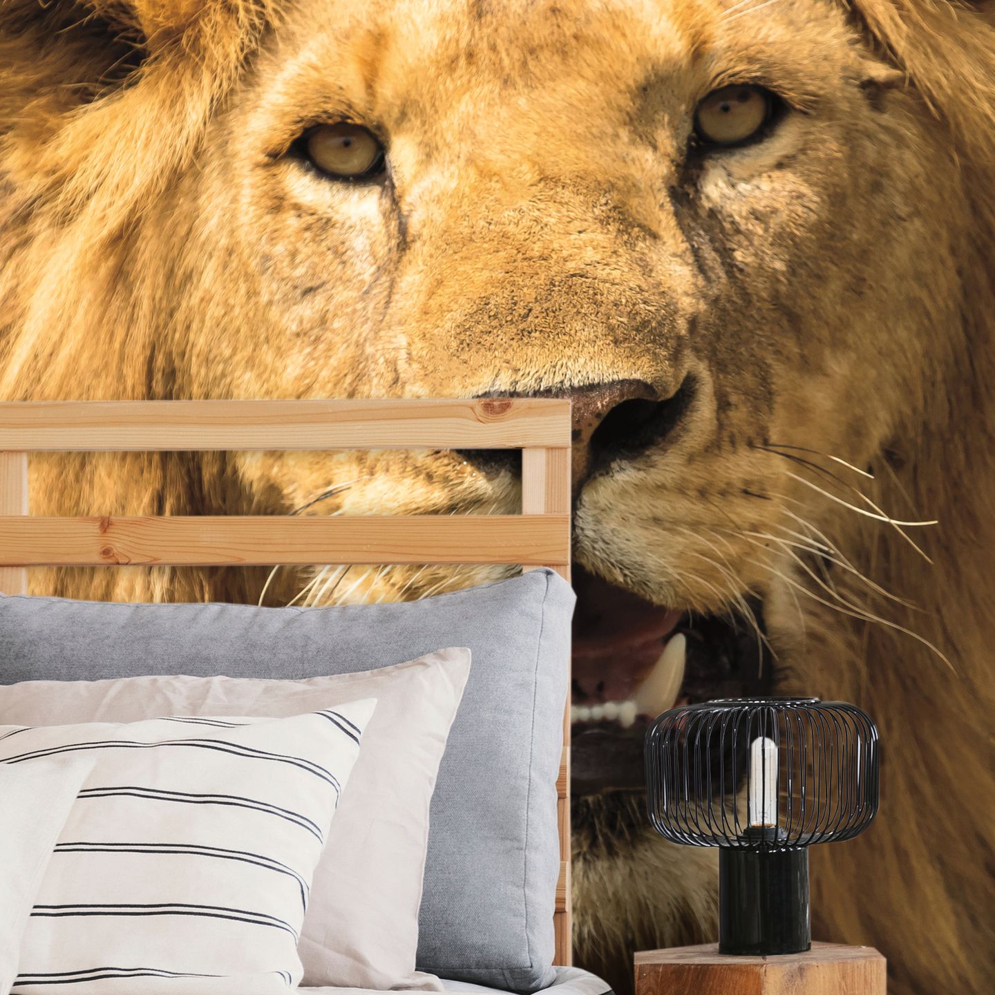 fad9a76cef4f603b5ded8830b732a723a56c007d-1654x2339