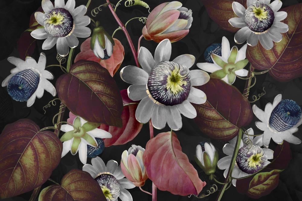 7ea90290db891b84370c3b8dbd78090c23acd2d2-3000x2000